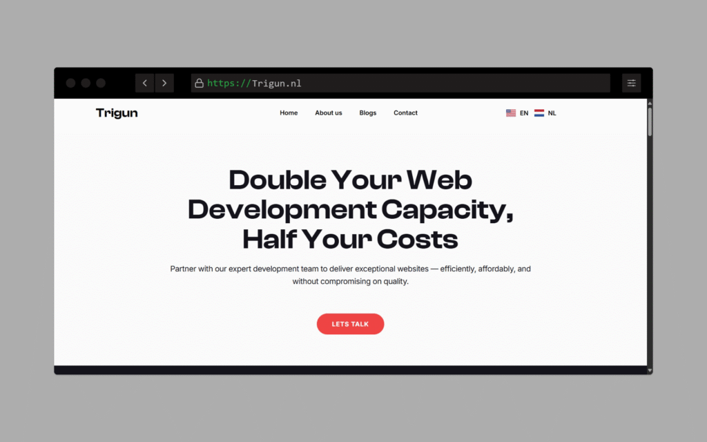 Trigun.nl web development company website